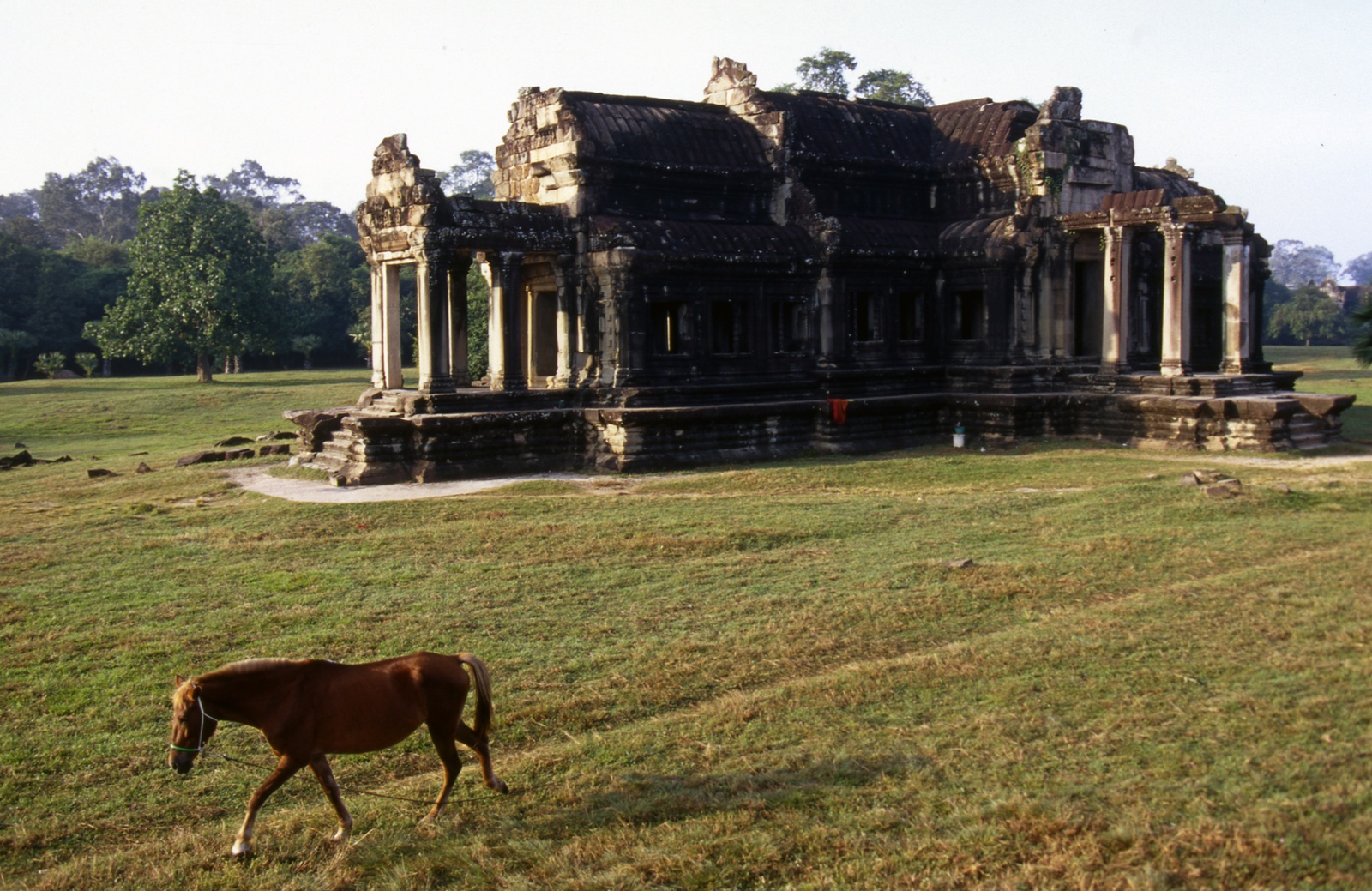 Temples of Angkor, Angor Wat, Cambodia